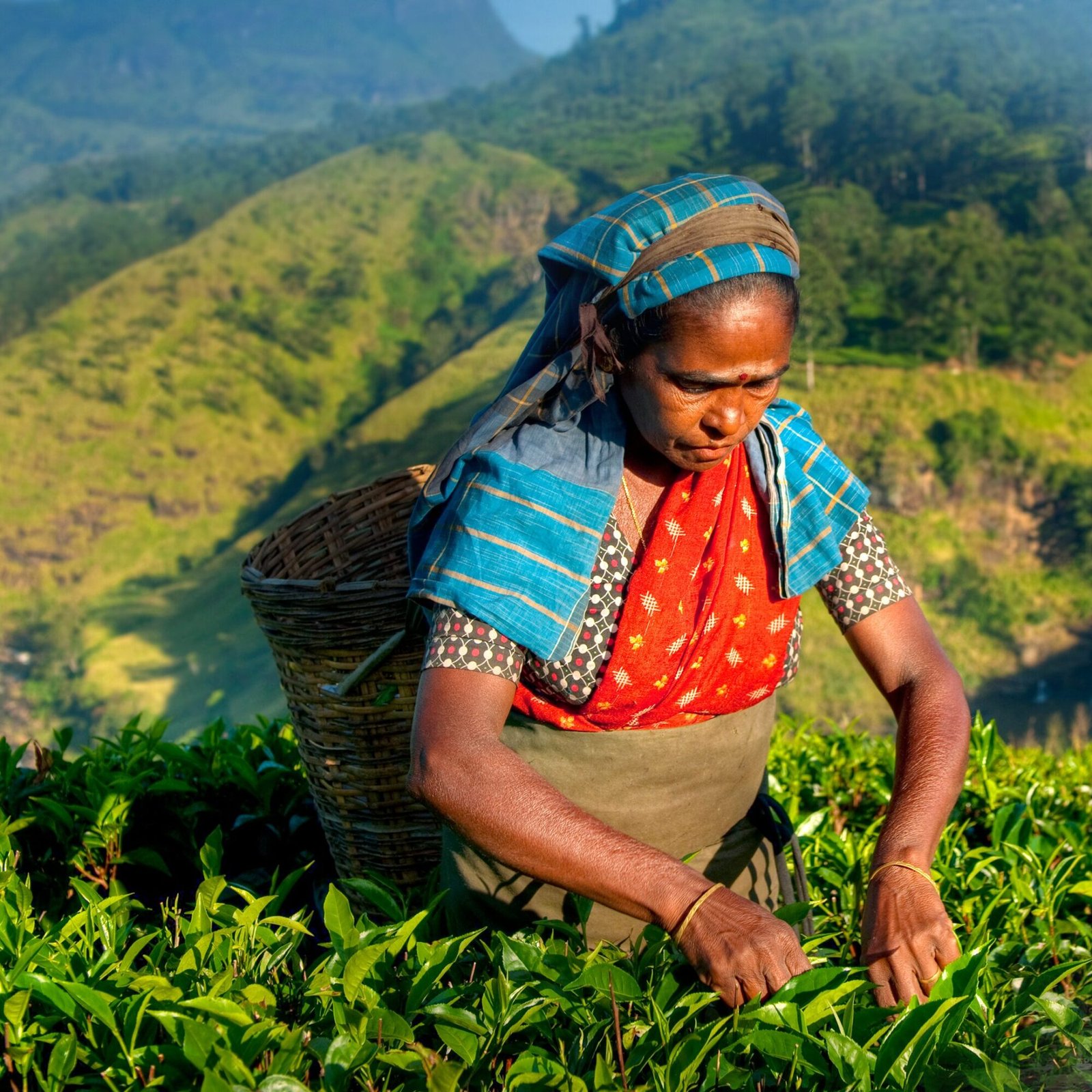 Sri Lanka scenic journey