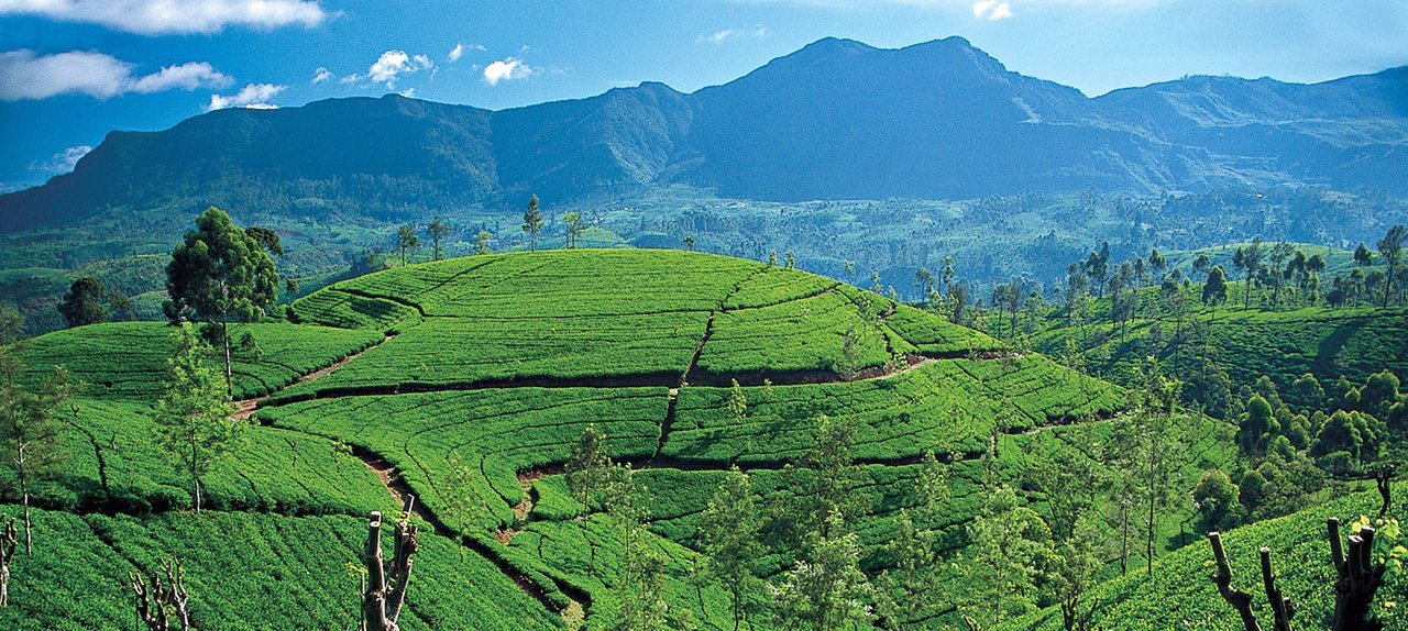 Sri Lanka family adventure