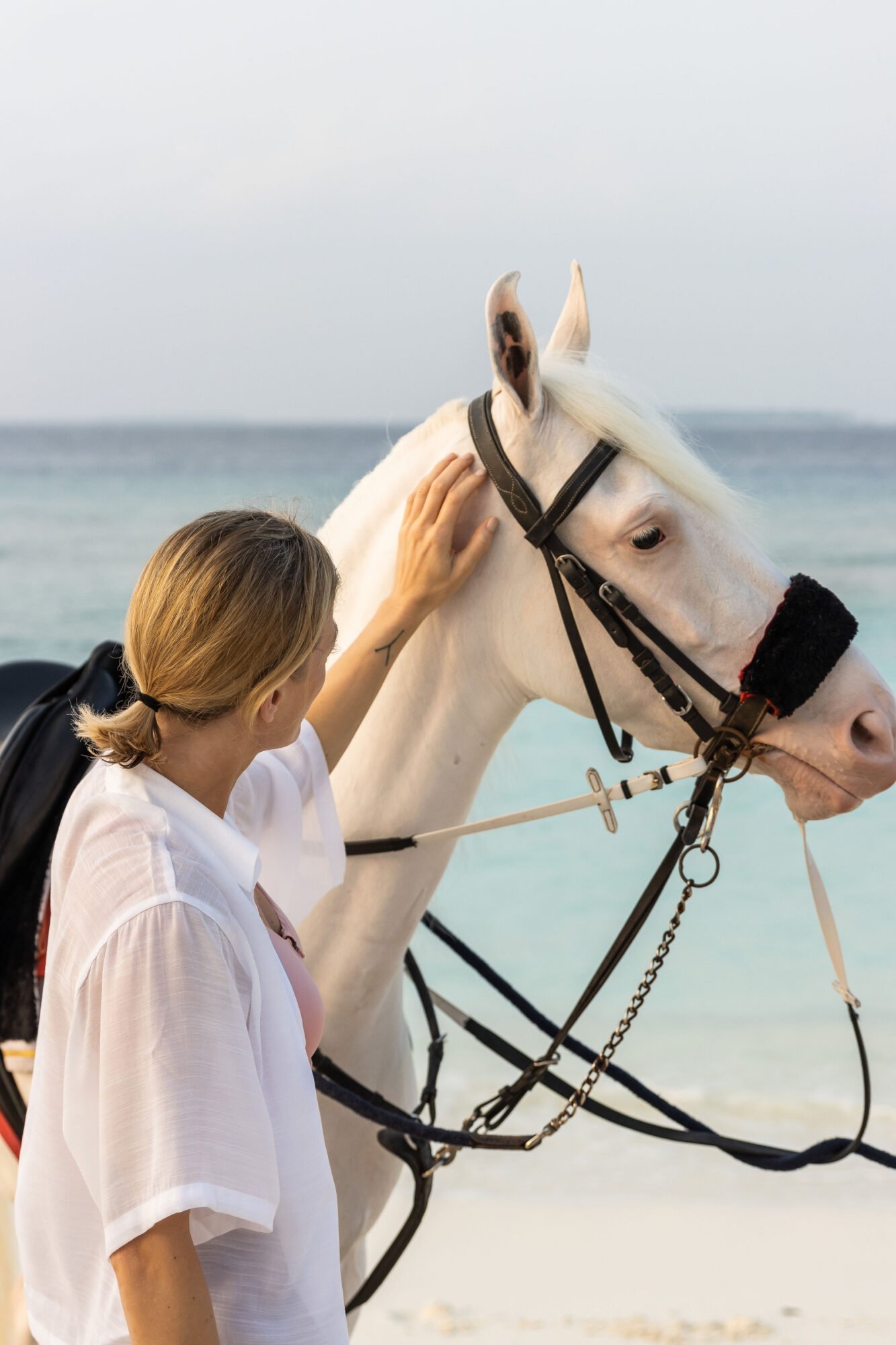 Maldives tropical holiday experience